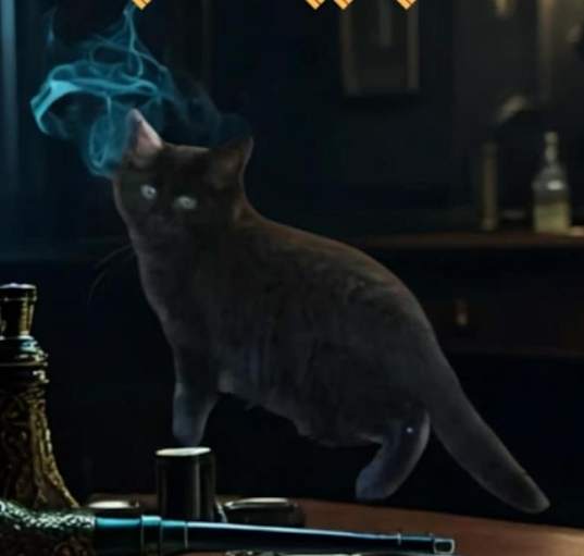 Photo of Purrlock Holmes