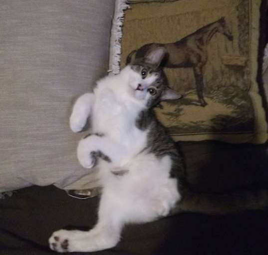 Photo of Brodie a tripod