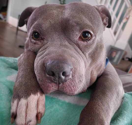 Photo of Tyson