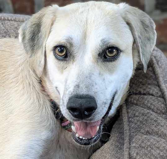 Photo of Kiara