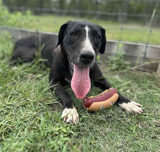 Photo of Finn