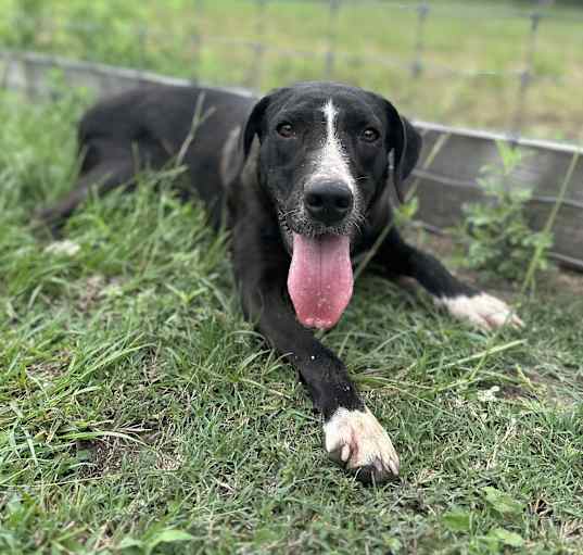 Photo of Penelope