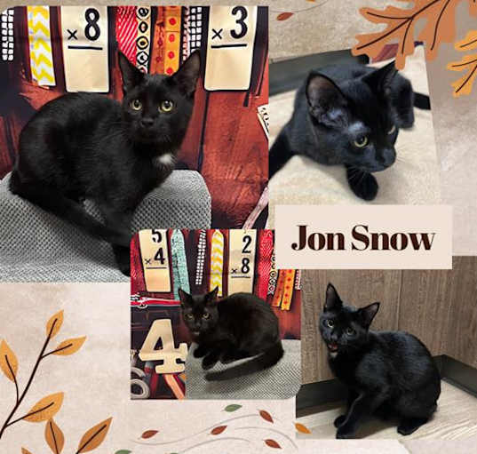 Photo of JON SNOW