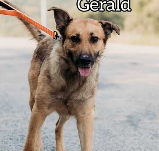 Photo of Gerald