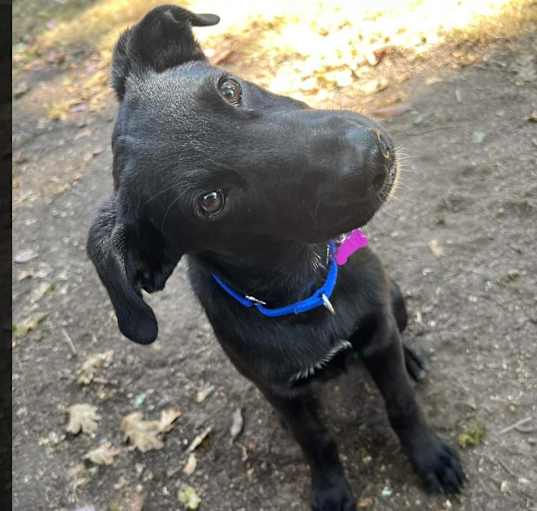 Photo of Cash