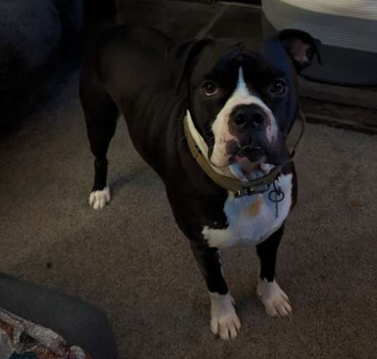 Photo of Max