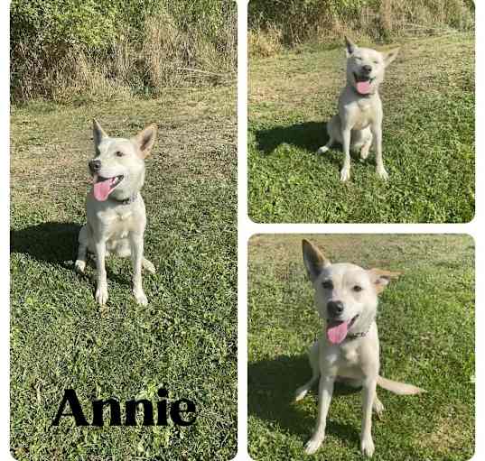 Photo of Annie