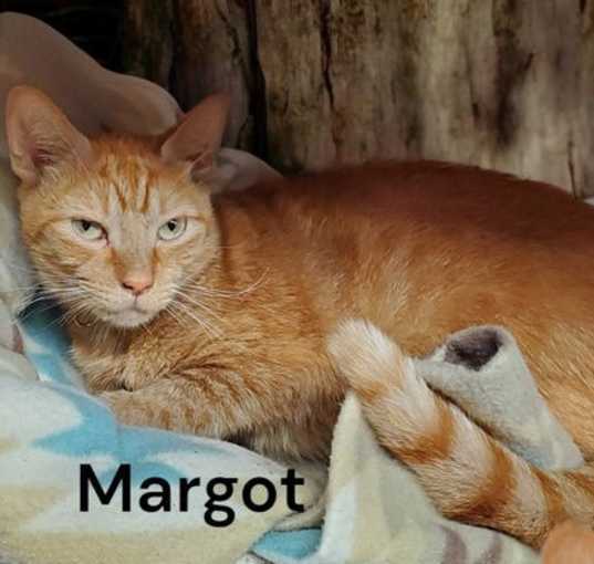 Photo of Margot