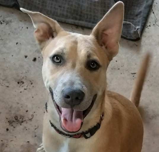 Photo of Holden