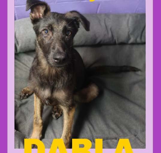 Photo of DARLA