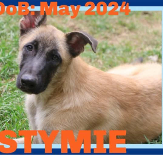 Photo of STYMIE