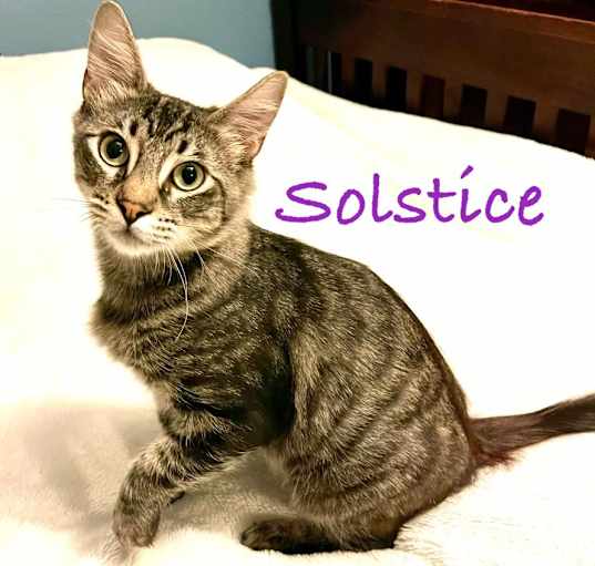 Photo of Solstice