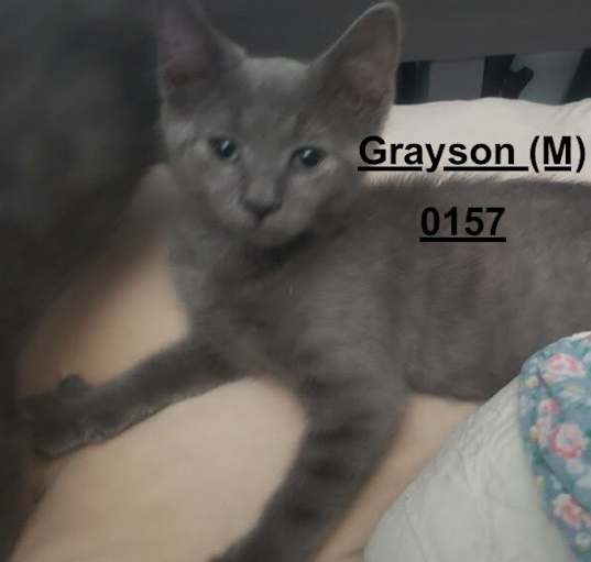 Photo of Grayson