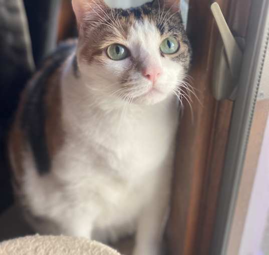 Photo of Charlotte