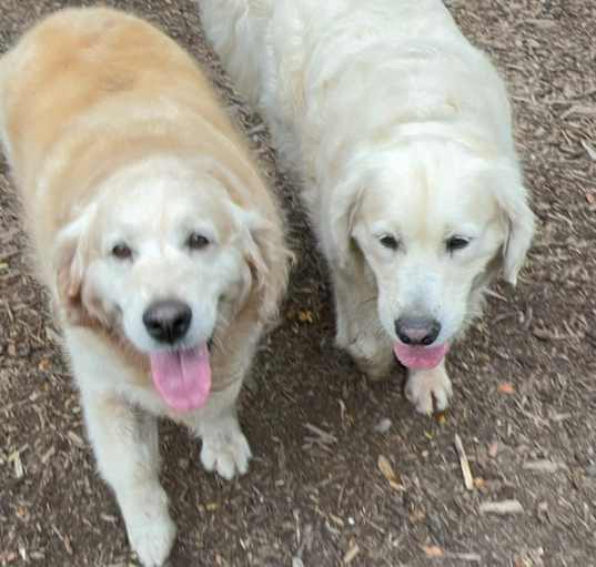 Photo of Lucy and Ethel