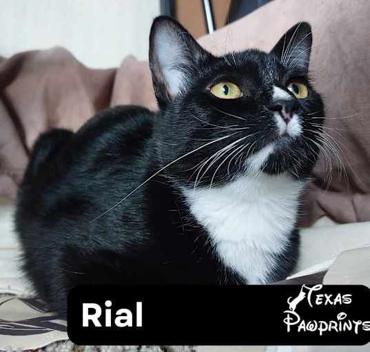 Photo of Rial