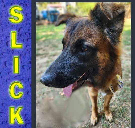 Photo of Slick