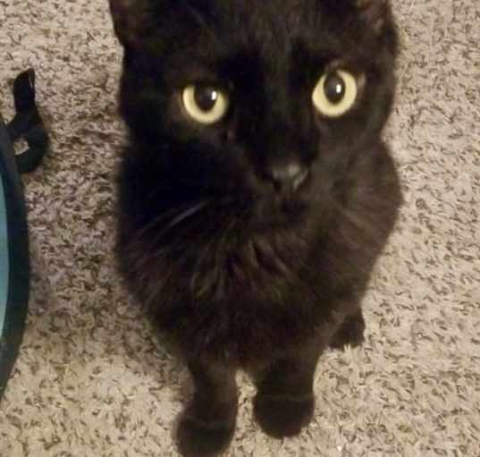 Photo of Jerry