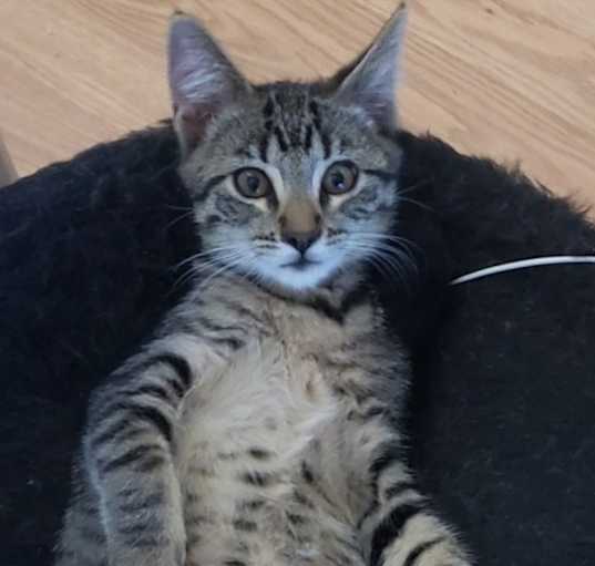 Photo of Thomas