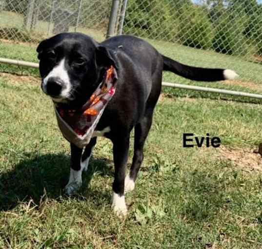 Photo of Evie