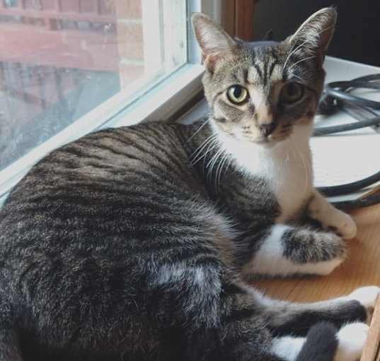 Photo of Muriel
