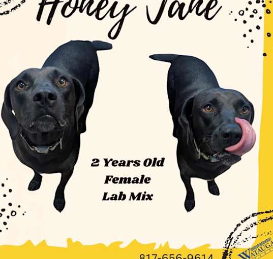 Photo of HONEYJANE