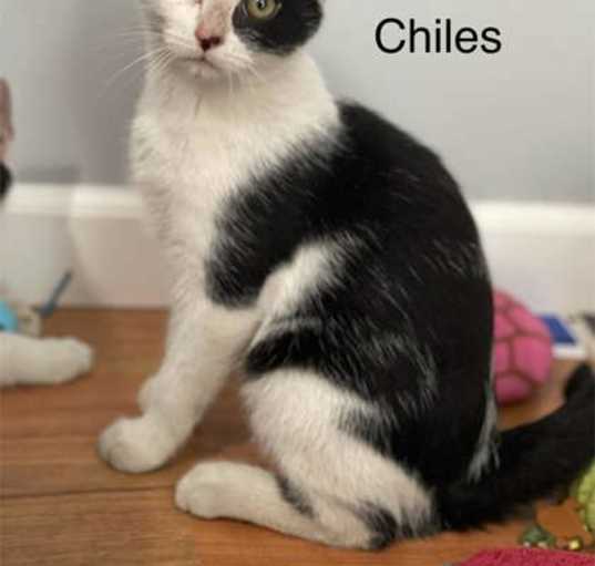 Photo of Chiles