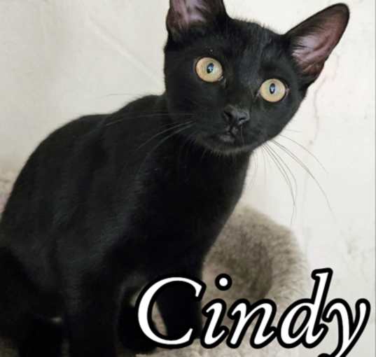 Photo of Cindy