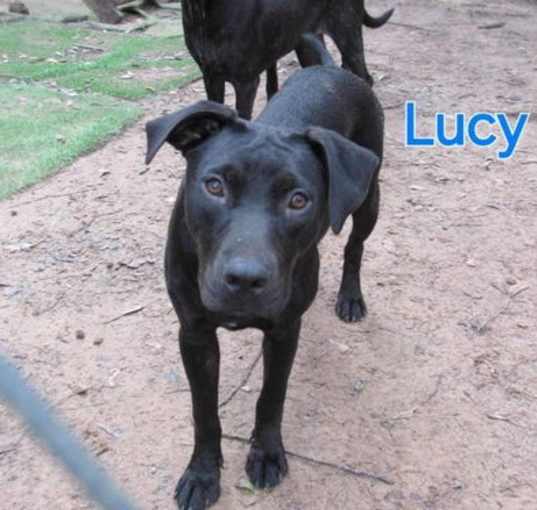 Photo of Lucy