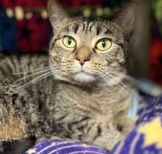 Photo of Annie