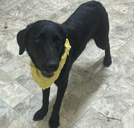 Photo of Tiberius