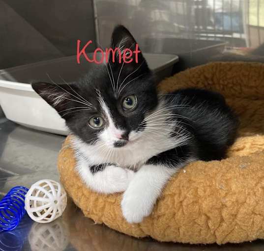 Photo of Komet