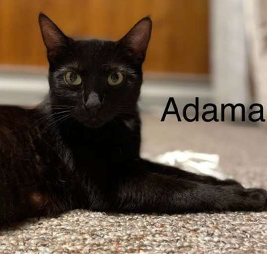 Photo of Adama