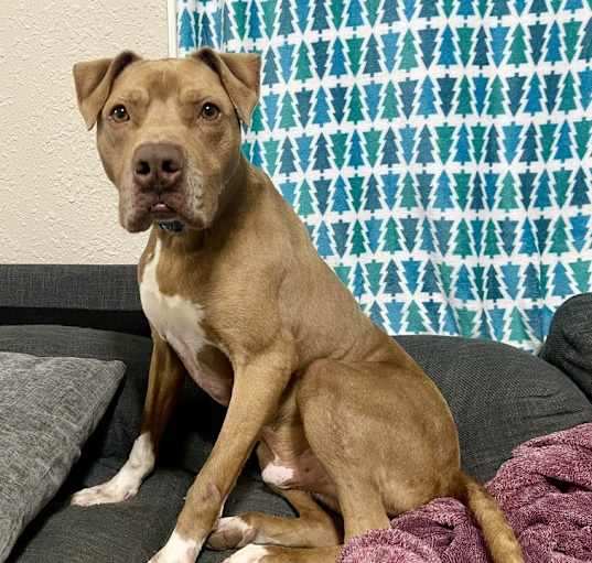Photo of Cadbury