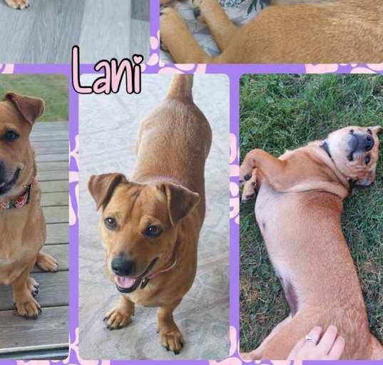 Photo of Lani