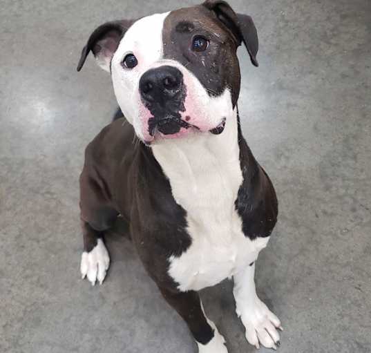 Photo of Tank
