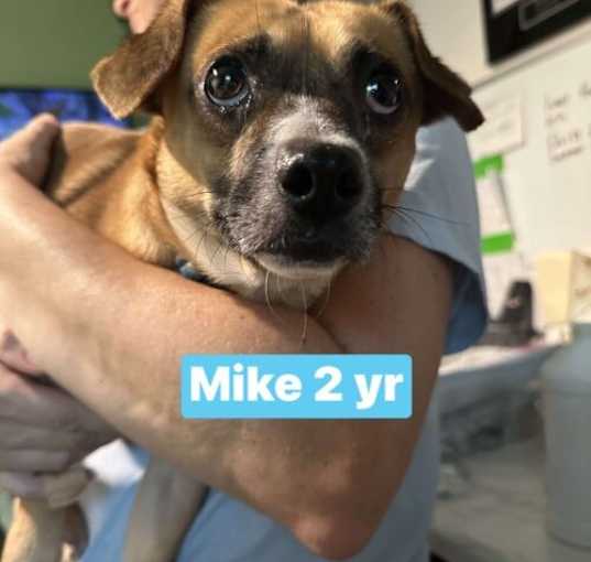 Photo of Mike