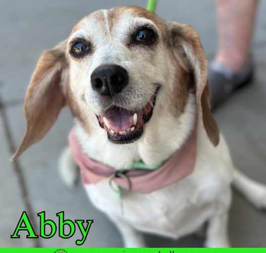 Photo of Abby