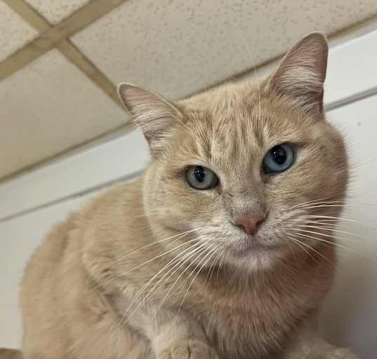 Photo of Persephone