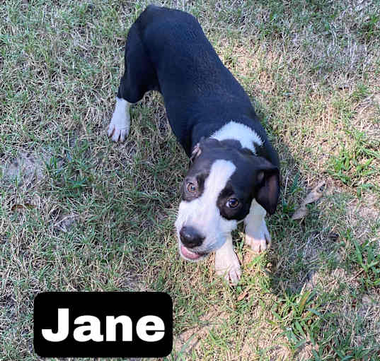 Photo of Jane