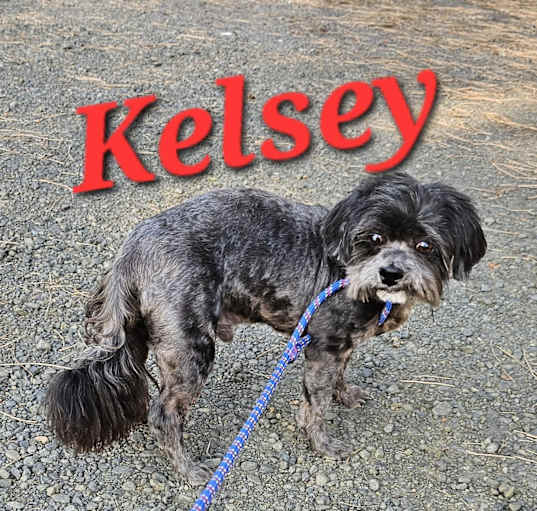 Photo of Kelsey