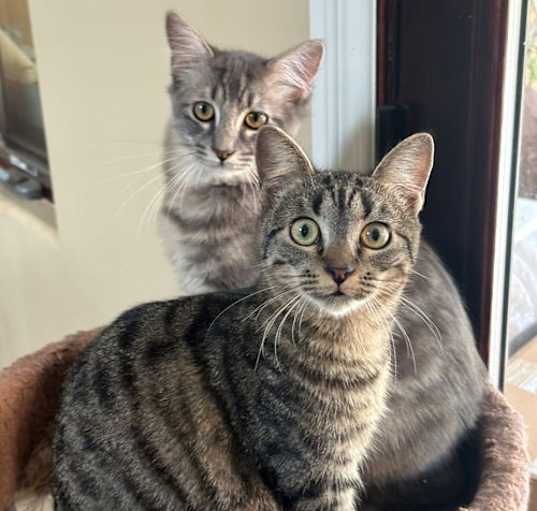 Photo of Emery & Sage