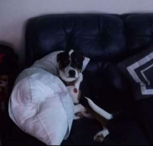 Photo of Bentley