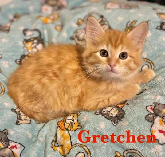 Photo of Gretchen