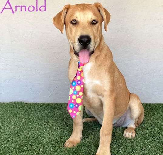 Photo of Arnold