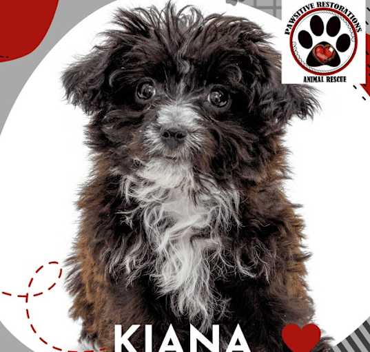 Photo of KIANA