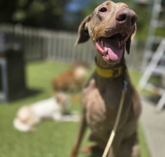 Photo of Marley Mae