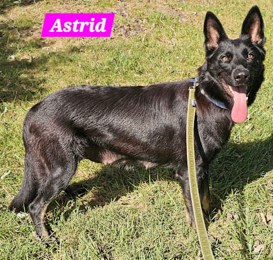 Photo of Astrid (YOUNG)