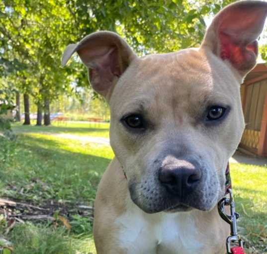 Photo of Millie