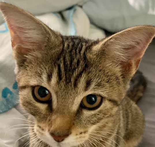 Photo of Tabitha